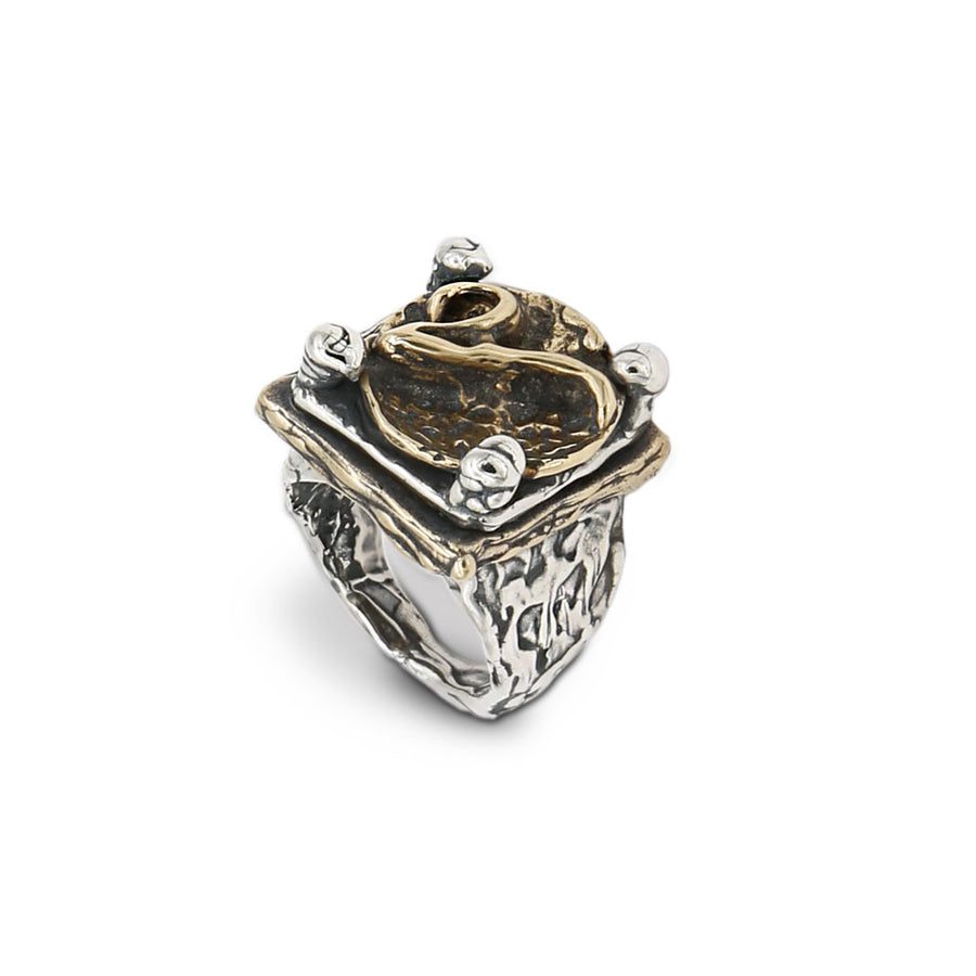Anello unisex sigillo lettering argento 925 e bronzo - AR136b